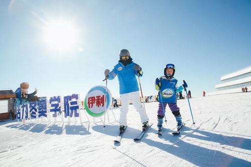 伊利前三季度營收穩健增長，液態乳基本盤穩固，多元化布局開拓新增長點
